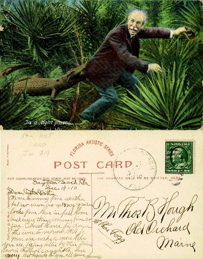 Comical Man Fleeing Alligator in Jungle