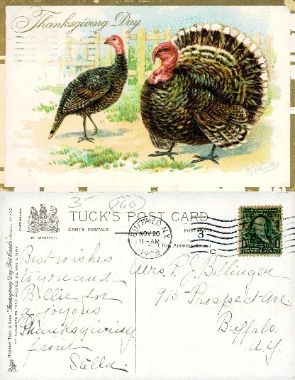 Thanksgiving Turkeys with Fence and Greeting