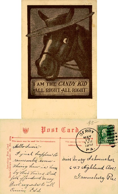 Donkey in a Straw Hat with Quote