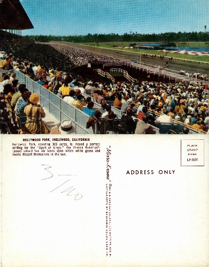 Horse Race at Hollywood Park