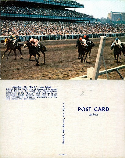 Horse Race at Aqueduct Racetrack