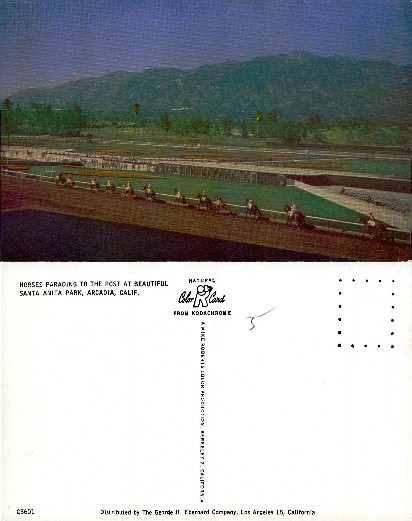 Horses Parading at Santa Anita Racetrack