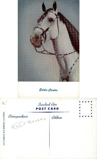 Head of a White Horse in Bridle