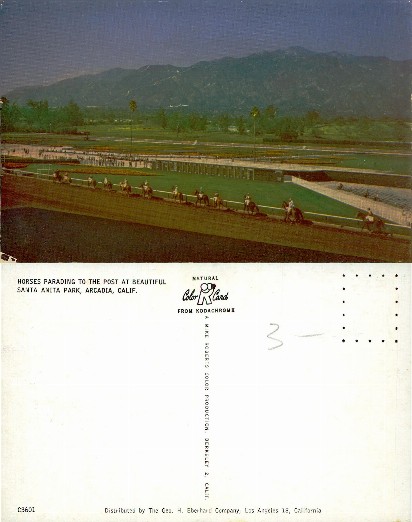 Horses Parading at Santa Anita Park