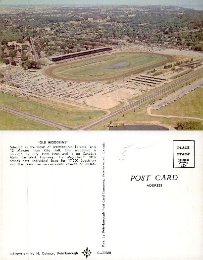 Old Woodbine Racetrack Aerial View