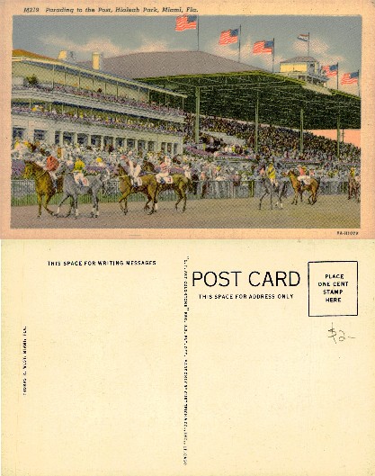 Parading Horses at Hialeah Park Racetrack