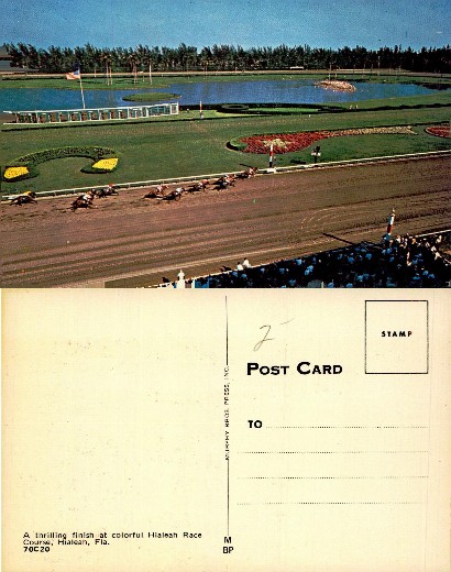 Horse Race at a Track
