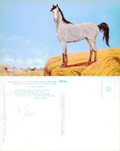 Wild Horse on Desert Hill