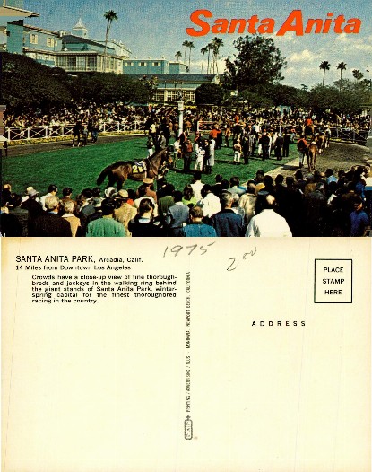 Horse Racing at Santa Anita Park