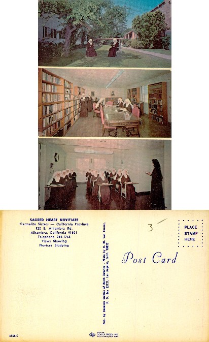 Carmelite Novitiate Sisters Studying