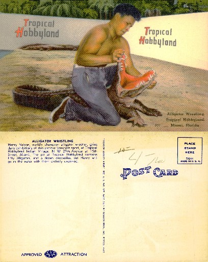 Alligator Wrestling at Hobbyland