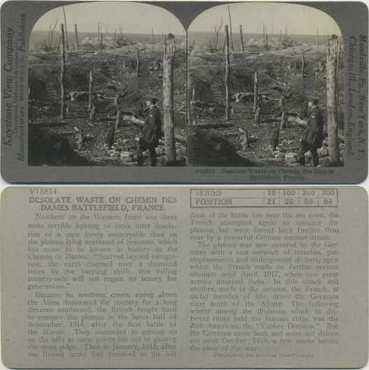 Desolate Battlefield with Soldier