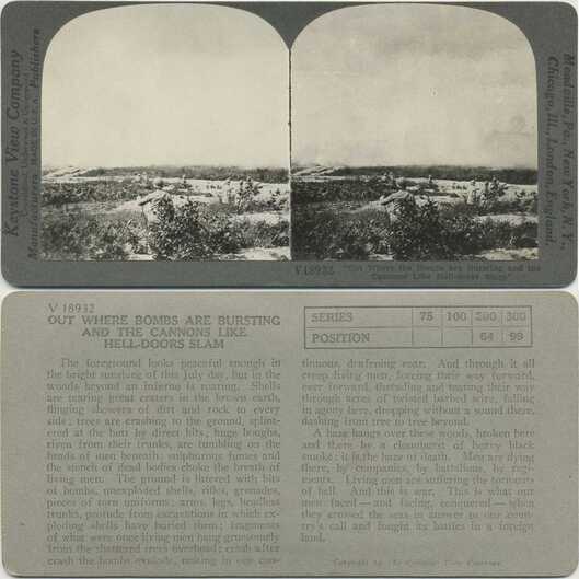 World War I Battlefield Scene