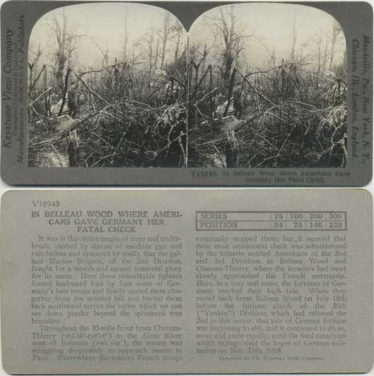 Soldier in Destroyed Belleau Wood