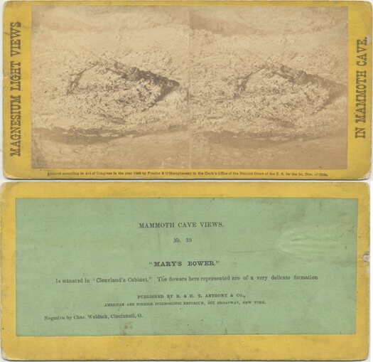 Cave Formation: Mary's Bower