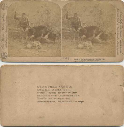 Perils of Wilderness: Man vs. Bear