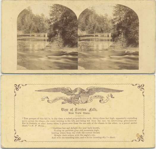 Trenton Falls River and Forest Scene