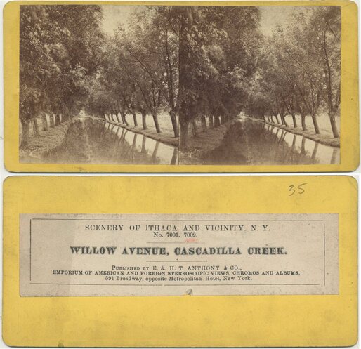 Willow Avenue, Cascadilla Creek