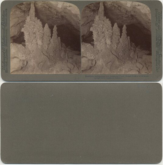 Dendritic Stalagmites in Cave