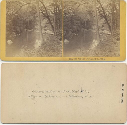 Wissahickon Creek with Stone Bridge