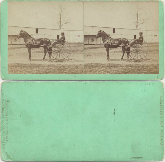 Trotting Horse and Driver