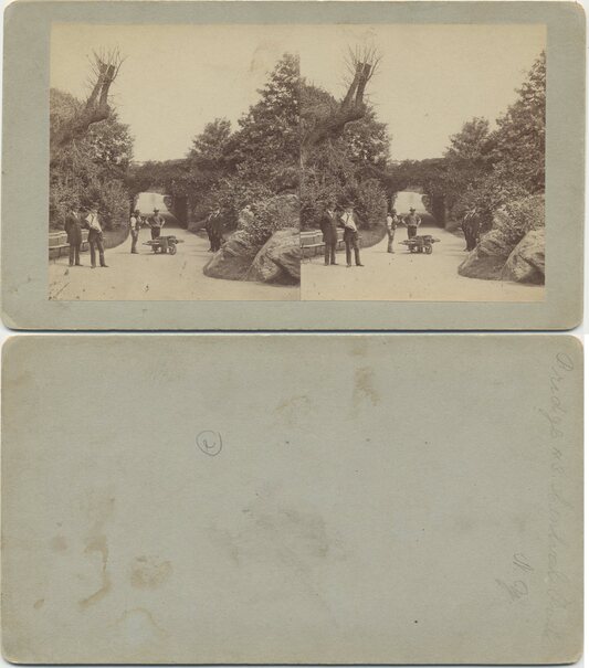 Men near bridge in park