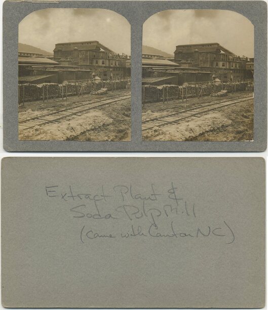 Industrial Pulp Mill with Wood Piles