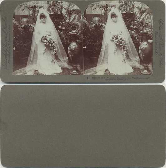 Bride in Wedding Gown