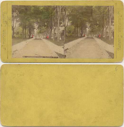 Livingston Place Street Scene
