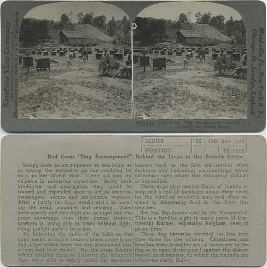Red Cross War Dog Encampment