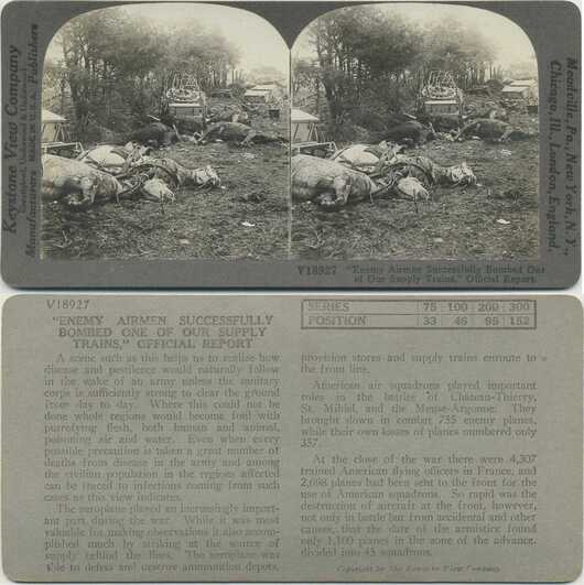 Wrecked Supply Train with Horses