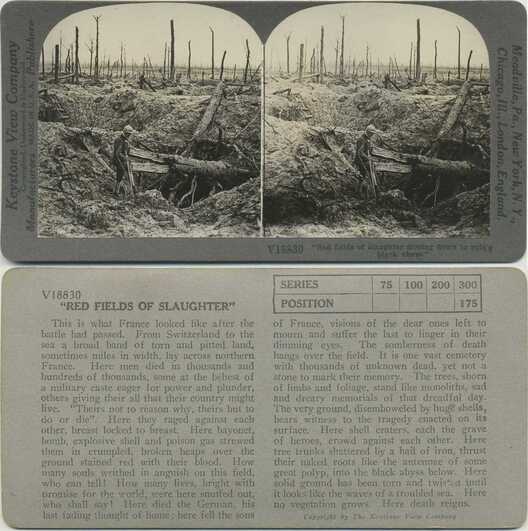 Battlefield Desolation with Soldier