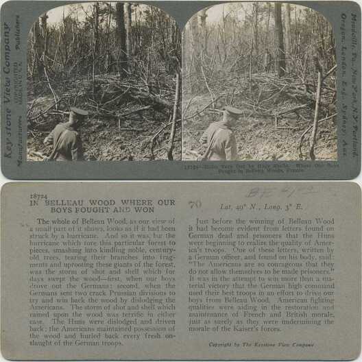 Soldier in Belleau Wood Devastation