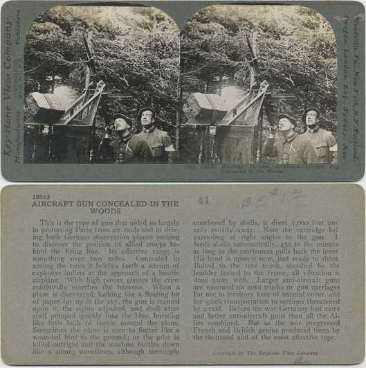 Anti-Aircraft Gun in Woods