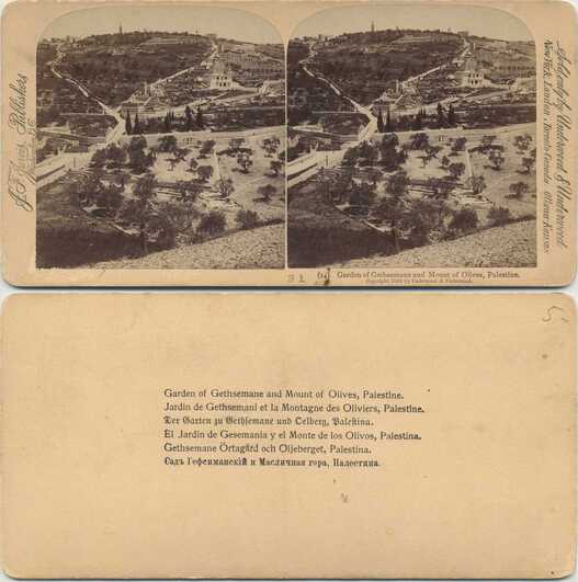 Garden of Gethsemane & Mount of Olives