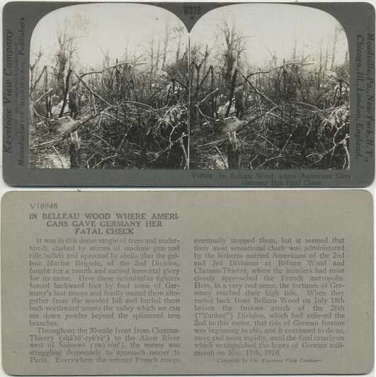 Soldier in War-Torn Belleau Wood