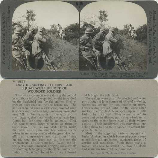 War Dog Reports to First Aid Squad