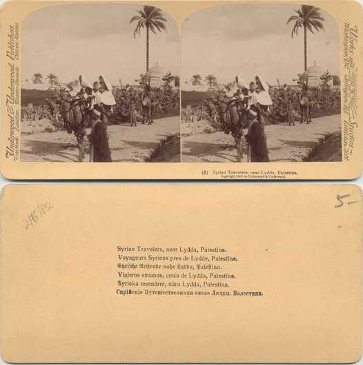 Syrian Travelers with Camels