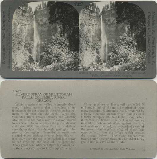 Silvery Spray of Multnomah Falls
