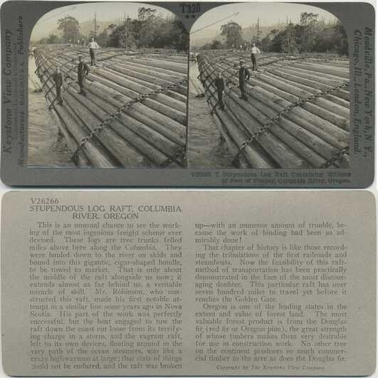 Stupendous Log Raft
