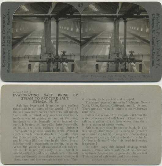 Evaporating Salt Brine by Steam