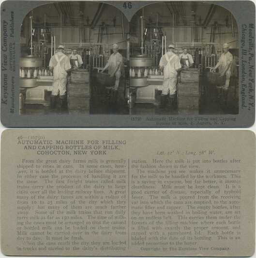 Milk Bottling and Capping Machine