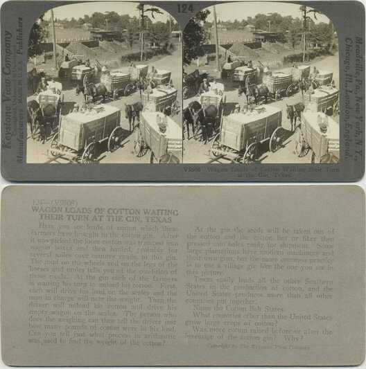 Cotton Wagons Waiting at Gin