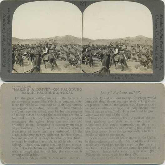 Cattle Drive on Paloduro Ranch