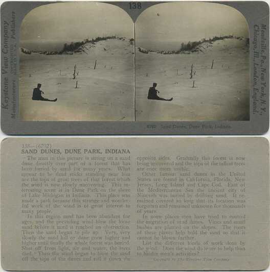 Man sitting on sand dunes, dead trees