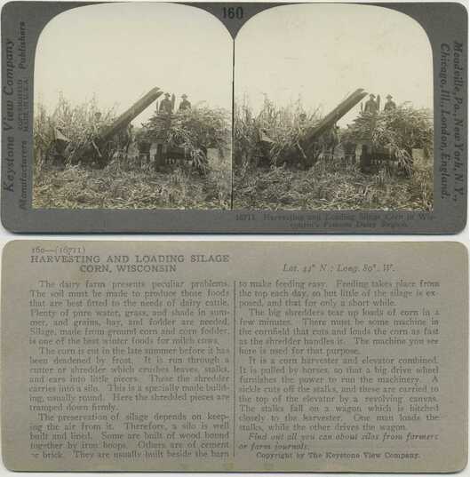 Harvesting and Loading Silage Corn