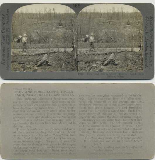 Cut and Burned-Over Timber Land