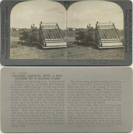 Alfalfa Hay Loading with Machine