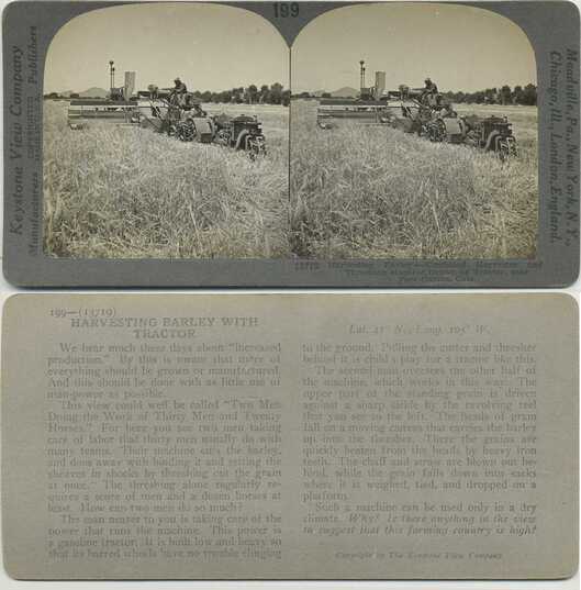 Harvesting Barley with Tractor
