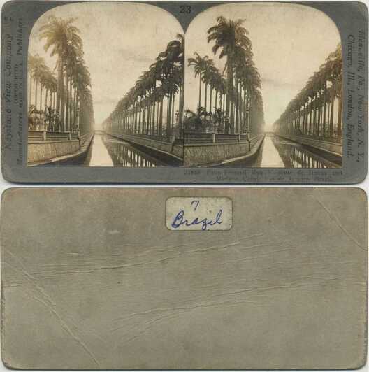 Palm-Fringed Canal and Street